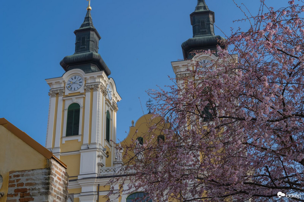 Székesfehérvár 