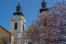 Székesfehérvár 