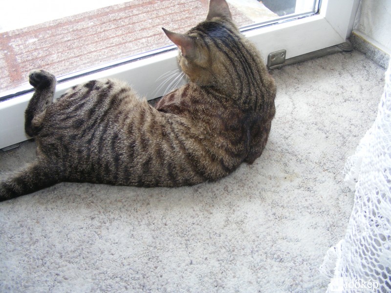 Csatlakozom én sem megyek ki 