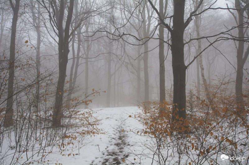 Reméljük ez lesz a szezon utolsó havas, ködös fotója