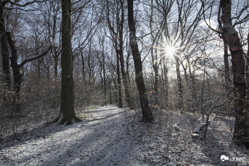 Tavaszi napsütés ??