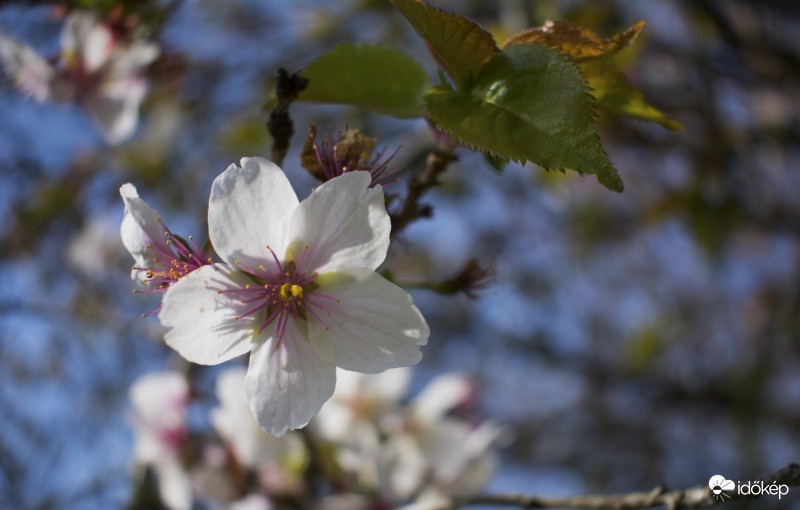 hétvégi kiránduláson készült 