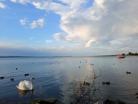 Egy csoda a semmiből