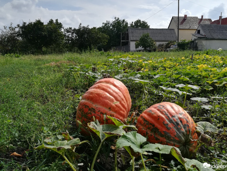 Maklár
