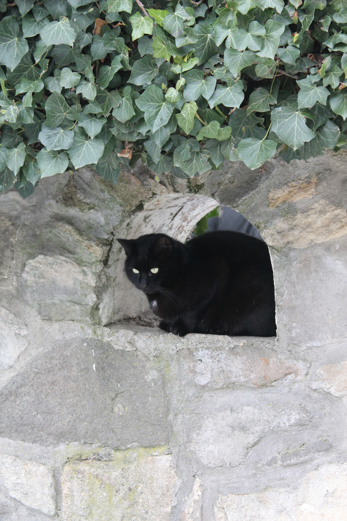 Ez a kedvenc helyem.