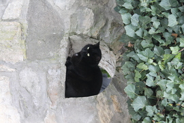 Ez a kedvenc helyem.