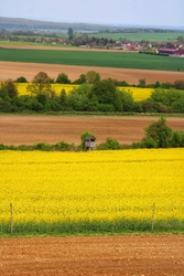 Repcès 