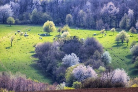 Tavaszi nyugalom 