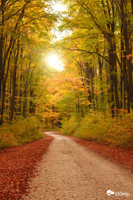 Ősz 