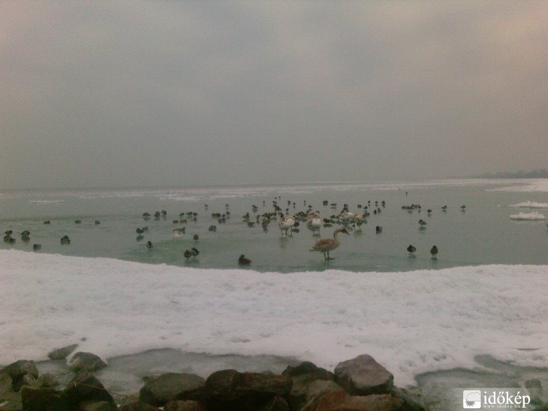siófok