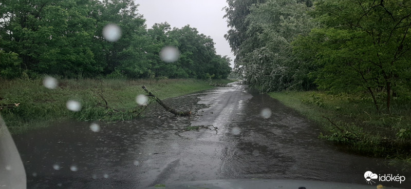 Zivatar utáni csendélet