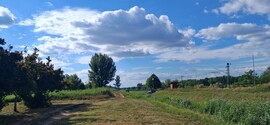 Kolontár