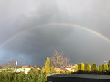 Kisvárda
