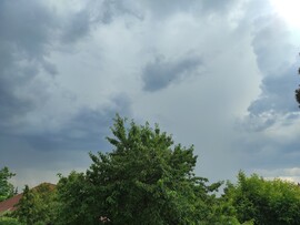 Erdőkertes