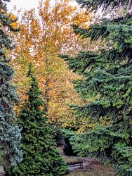 őszi reggel