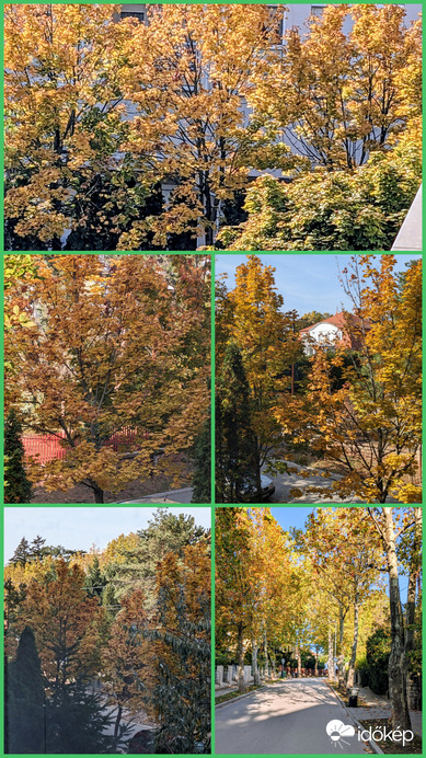 Ősz