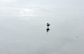 Gyönyörködhetek magamban