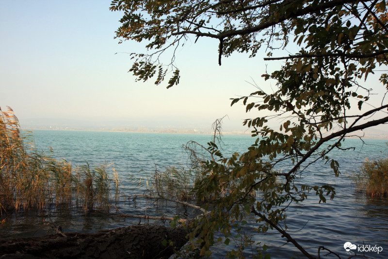 Sajkod