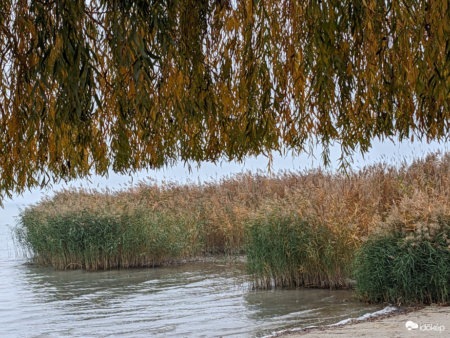 Balaton
