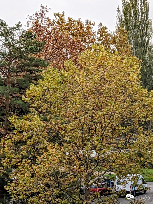 Balatonfüred