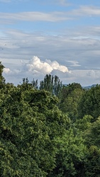 kronikas fotója