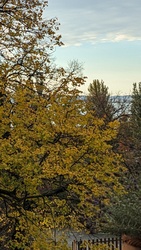 Füredi reggel