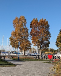 kronikas fotója