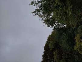 Budapest IX. ker