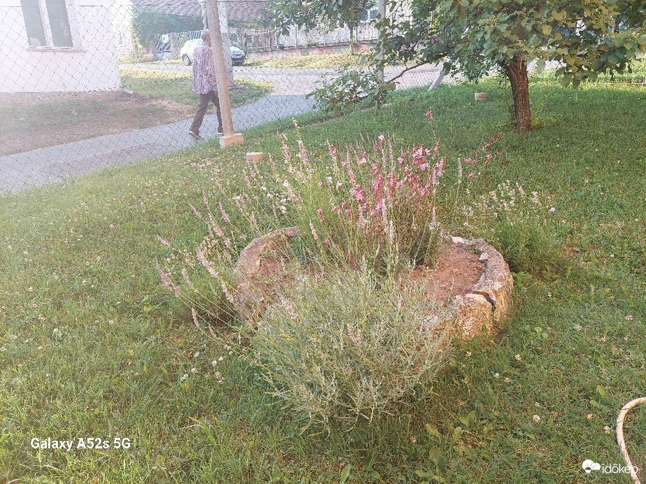 Pomáz