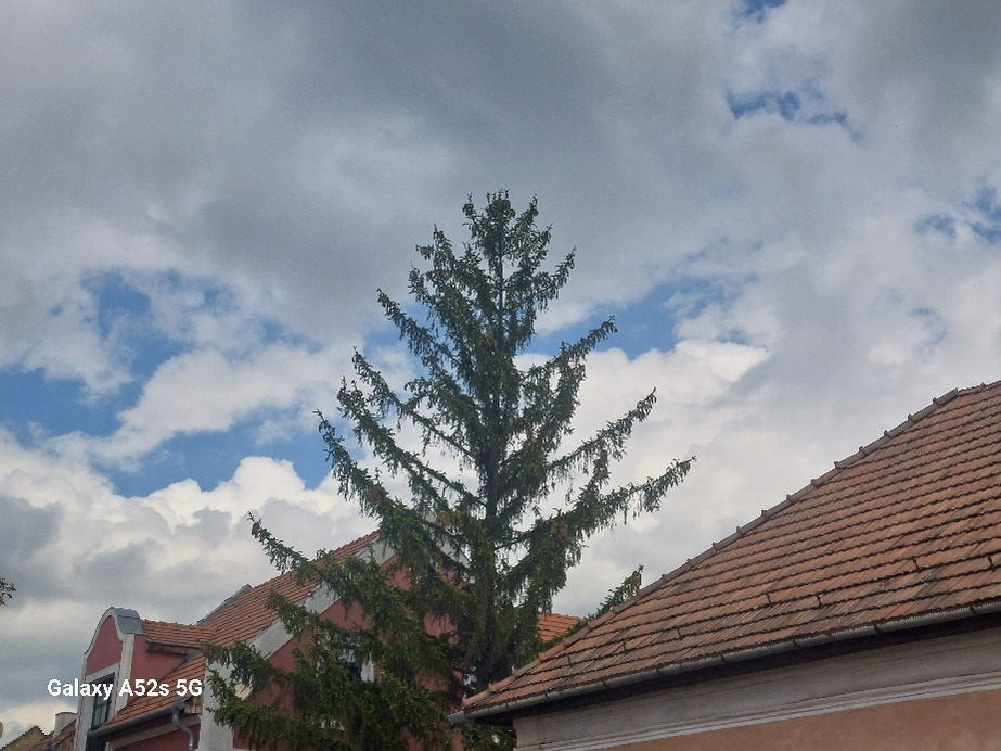 Szentendre