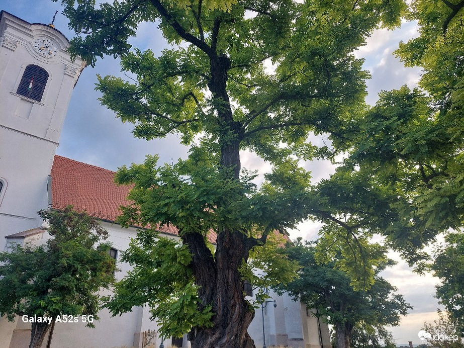 Szentendre