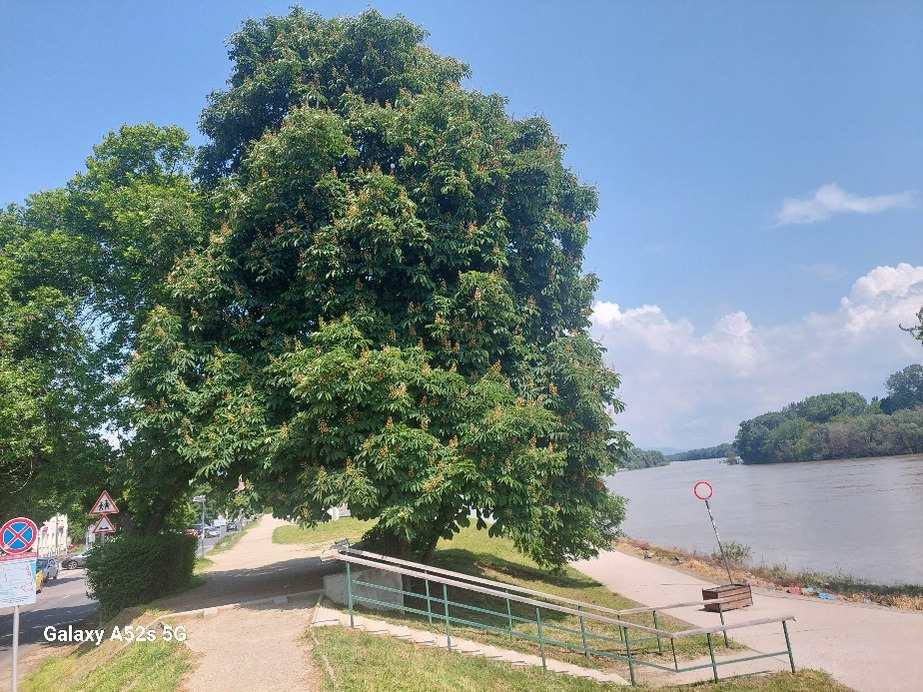 Szentendre