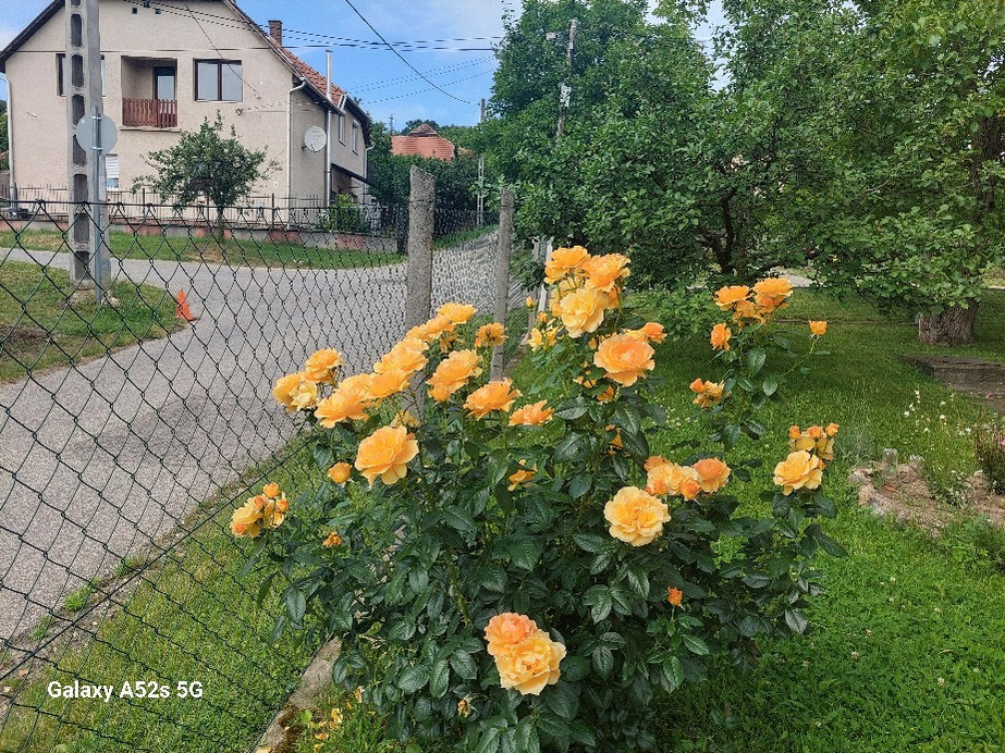 Pomáz