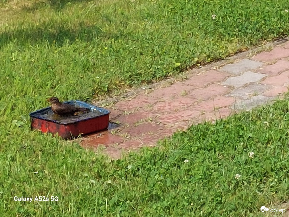 Pomáz