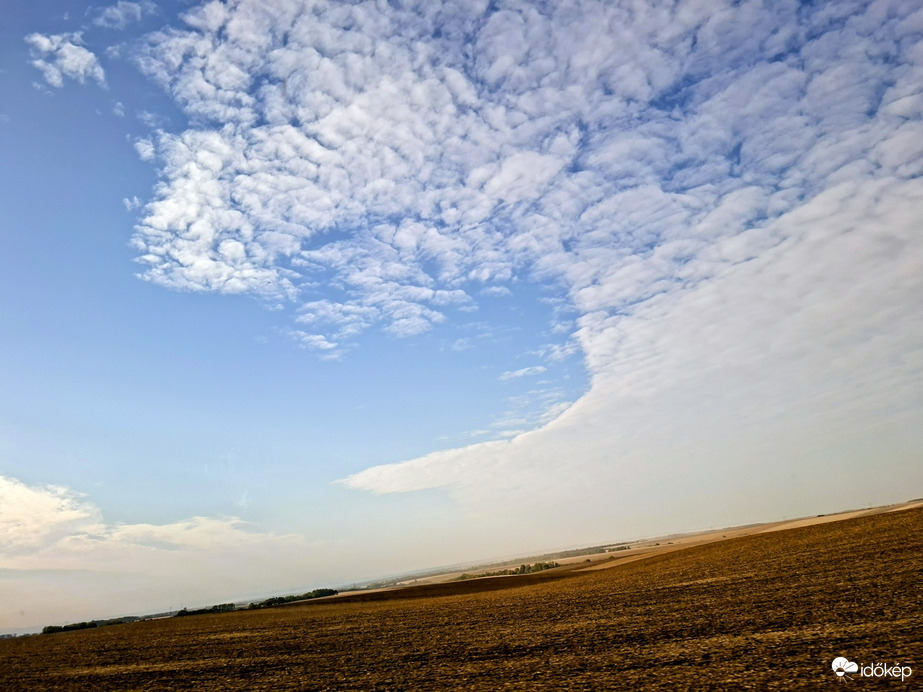 Szakcs
