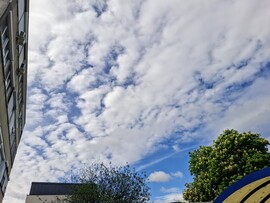 Tamási