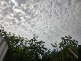Pécs-Somogy