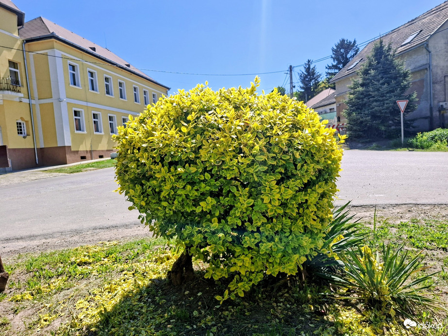 Magyarkeszi