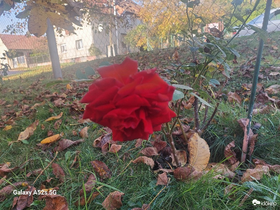 Pomáz