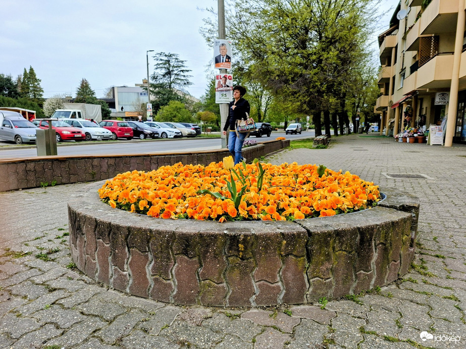 Tamási
