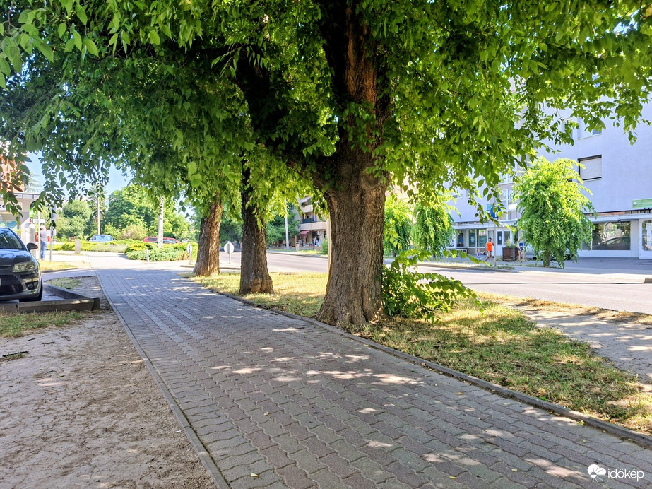 Tamási