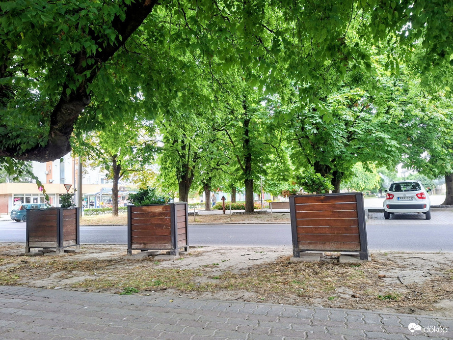 Tamási