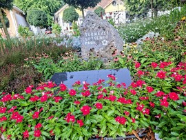 Tamási