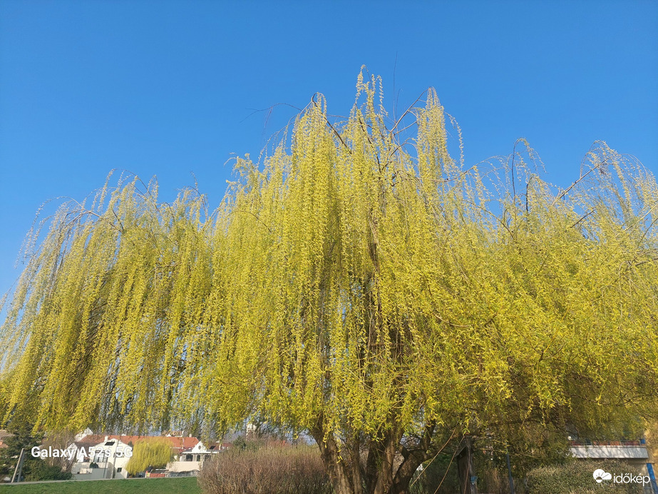 Szentendre