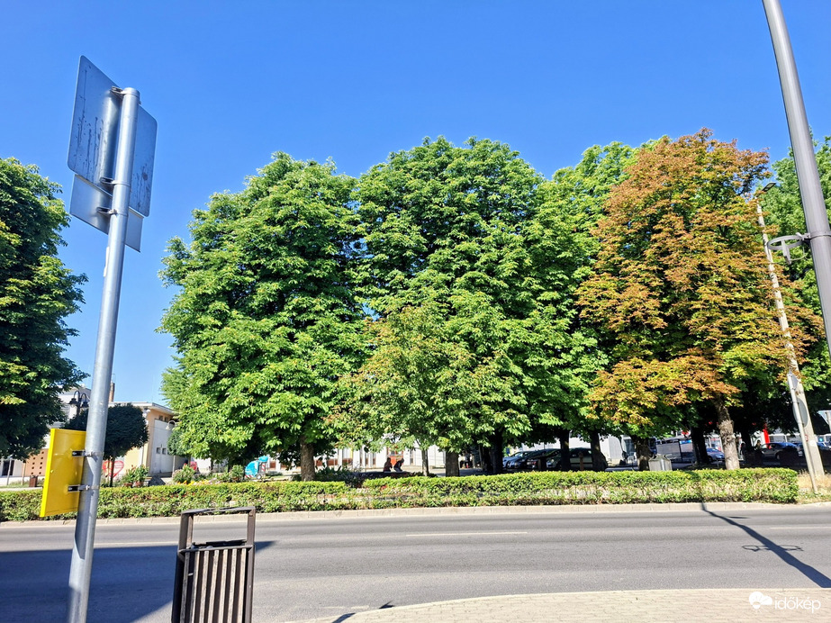 Tamási