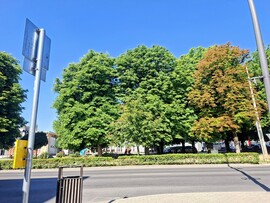 Tamási