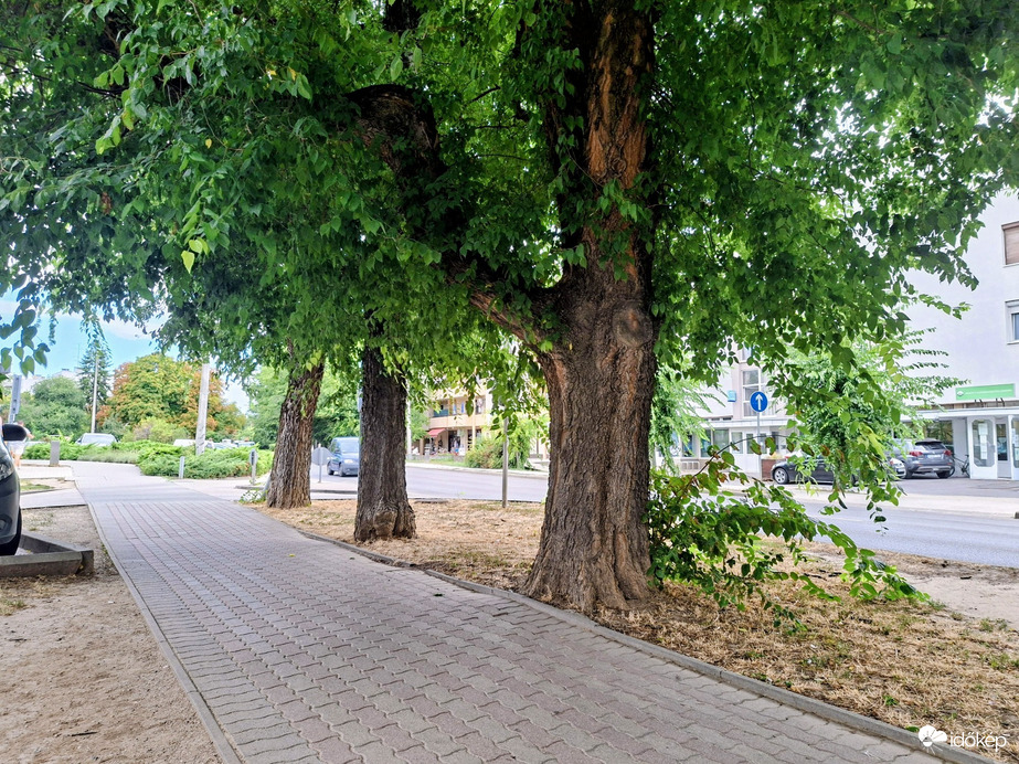 Tamási