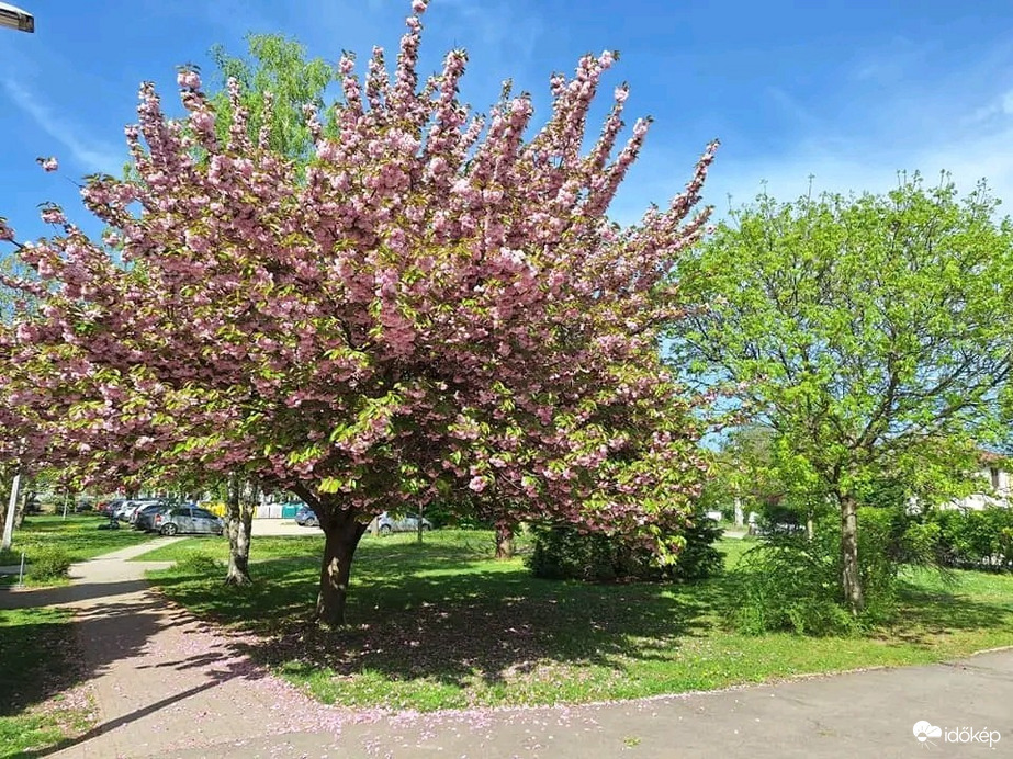Szentendre