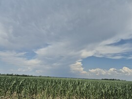 Balatonaliga