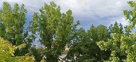 Szeged
